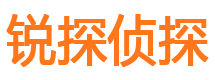 岳麓外遇调查取证